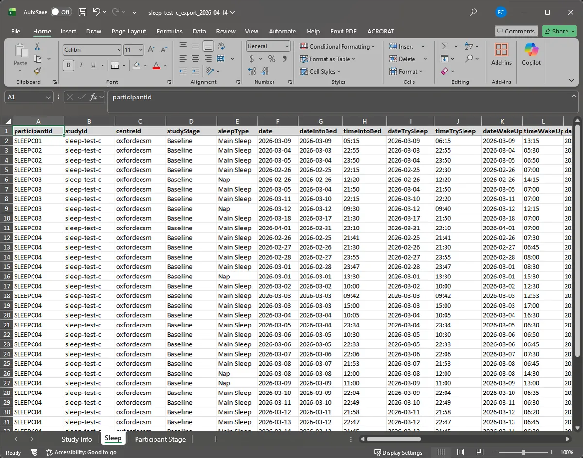 Screenshot of an example Excel export workbook.